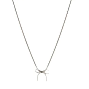 Collar de acero illinois plateado