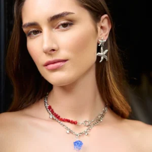 pendientes-estrellar-de-mar-miramar-en-acero-alexah-modelo