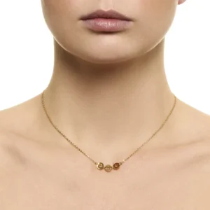 collar-de-acero-palma-dorado-alexah-modelo