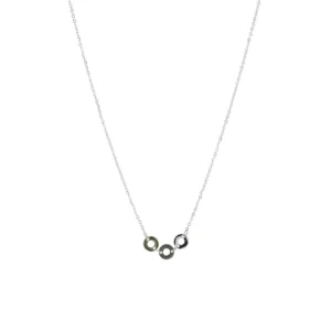 collar-de-acero-palma-plateado-alexah